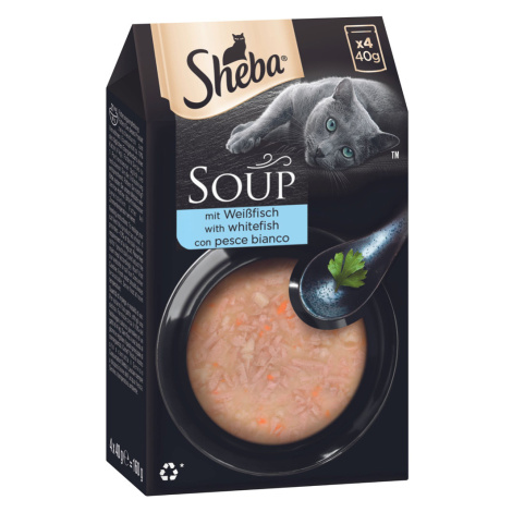 Sheba Classic Soup 2 x 40 kapsiček (80 x 40 g) výhodné balení - Bílá ryba