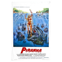 Ilustrace Piranha 02, ×  cm