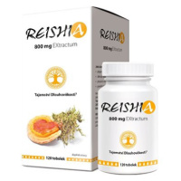 REISHIA 800 mg EXtractum tob.120