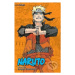 Naruto 3-in-1, Vol. 22 (Includes Vols. 64, 65 & 66) - kniha z kategorie Sci-fi, fantasy a komiks