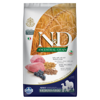 Farmina N&D Ancestral Grain Adult Medium/Maxi Lamb & Blueberry - 2 x 12 kg