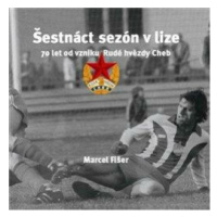 Šestnáct sezón v lize (Defekt) - Marcel Fišer