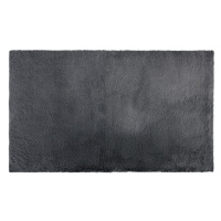 LIVARNO home Koupelnová předložka, 60 x 100 cm (tmavě šedá)