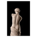 Fotografie gypsum plaster sculpture of Venus, Kozlik_Mozlik, (26.7 x 40 cm)