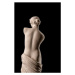 Fotografie gypsum plaster sculpture of Venus, Kozlik_Mozlik, 26.7 × 40 cm