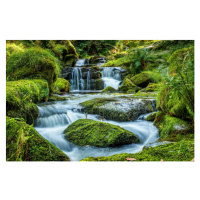Umělecká fotografie Scenic view of waterfall in forest,Newton, Ian Douglas / 500px, (40 x 26.7 c