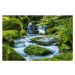 Fotografie Scenic view of waterfall in forest,Newton, Ian Douglas / 500px, (40 x 26.7 cm)