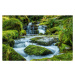 Fotografie Scenic view of waterfall in forest,Newton, Ian Douglas / 500px, 40 × 26.7 cm