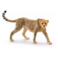 Zvířátko - samice geparda