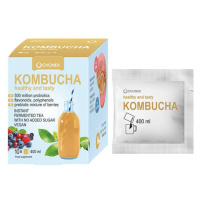 Ovonex Kombucha 10 sáčků