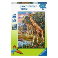 Ravensburger 12943 puzzle džungle xxl 150 dílků