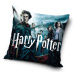 Carbotex Povlak na polštářek Harry Potter Čarodějovi Učni, 40 x 40 cm