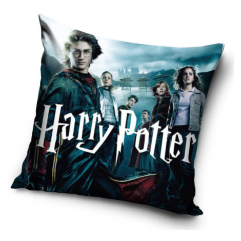 Carbotex Povlak na polštářek Harry Potter Čarodějovi Učni, 40 x 40 cm