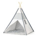 Stan Teepee