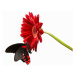 Fotografie Butterfly on red gerbera  flower, Digital Zoo, 40 × 26.7 cm