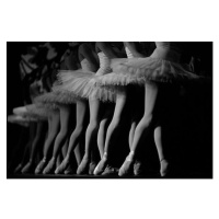 Fotografie Ballerinas performing, low section, Wayne Eastep, (40 x 26.7 cm)