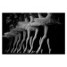 Umělecká fotografie Ballerinas performing, low section, Wayne Eastep, (40 x 26.7 cm)