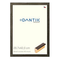 DANTIK rámeček 29,7 × 42, Metalli oidati AG tmavý plexi čiré