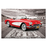 Plakát, Obraz - Classic Car - 1959 Corvette, 91.5 × 61 cm