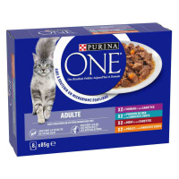 Purina ONE ADULT 4 x 2 ks (8 x 85 g) - Mix (4 druhy)