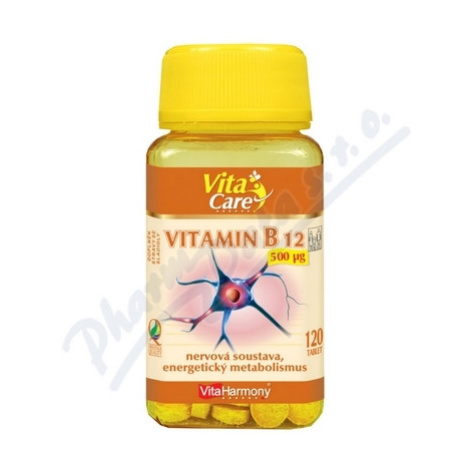 VitaHarmony Vitamin B12 tbl.120