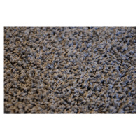 Koberec color shaggy - šedá - obdélník - 80 x 120 cm
