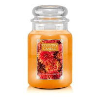 Country Candle Svíčka ve skleněné dóze, Chryzantéma a medové jablko, 680 g