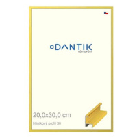 DANTIK rámeček 20 × 30, ALU profil 6030 Dýha barevný žlutý citrus sklo čiré