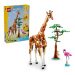 LEGO® Creator 3 v 1 31150 Divoká zvířata ze safari