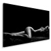 MyBestHome BOX Plátno Erotica Varianta: 40x30