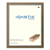 DANTIK rámeček 40 × 50, TAIGA béžový sklo čiré