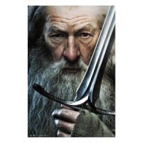 Plakát The Lord of the Rings - Gandalf (180)
