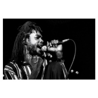 Fotografie Peter Tosh in concert/Roma, 1980, 40 × 26.7 cm