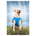 Vsepropejska Furila bunda pro psa s kožíškem Barva: Modrá, Délka zad (cm): 43, Obvod hrudníku: 5