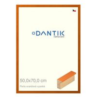 DANTIK rámeček 50 × 70, PERLA oranžový vysoký plexi čiré