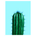 Ilustrace cactus1, Finlay & Noa, (30 x 40 cm)