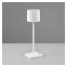 Reality Leuchten LED stolní lampa Fernandez, stmívač a CCT bílá