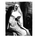 Fotografie Audrey Hepburn In 'The Nun's Story', Archive Photos, 30 × 40 cm