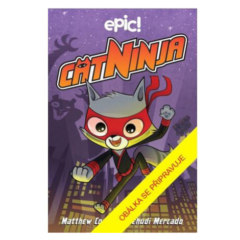 Cat Ninja 1 PIKOLA