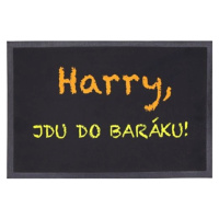 Rohožka Harry, jdu do baráku 40x60 cm