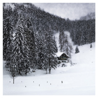 Fotografie Bavarian Winters Tale IX, Melanie Viola, 40 × 40 cm