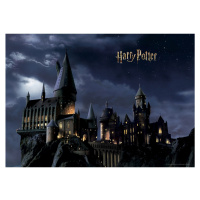Dětská fototapeta Harry Potter 252 x 182 cm, 4 díly