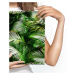 MyBestHome BOX Plátno Zelené Palmové Listy Varianta: 120x80