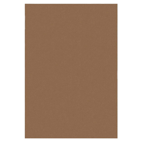 Koňakově hnědý koberec 200x290 cm – Flair Rugs