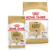 ROYAL CANIN Labrador Retriever Adult 3 kg + Labrador Adult v omáčce 10× 140 g