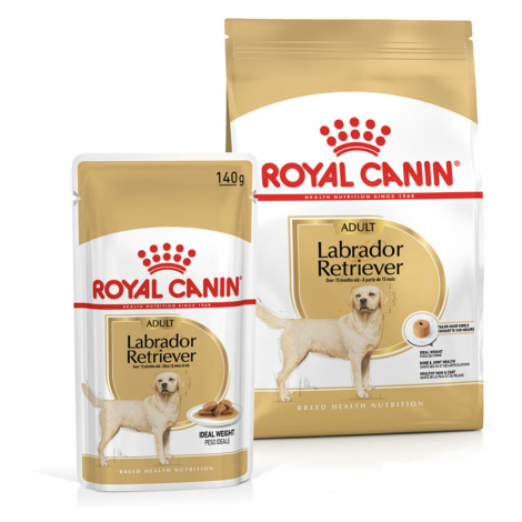 ROYAL CANIN Labrador Retriever Adult 3 kg + Labrador Adult v omáčce 10× 140 g