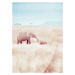 Plakát 30x40 cm Elephants - Travelposter