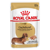 Royal Canin Dachshund Adult - jako doplněk: mokré krmivo 24 x 85 g Royal Canin Breed Teckel