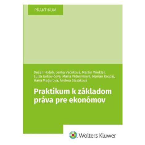 Praktikum k základom práva pre ekonómov - Dušan Holub; Lenka Vačoková; Martin Winkler