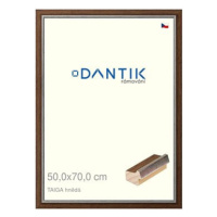 DANTIK rámeček 50 × 70, TAIGA hnědý plexi čiré